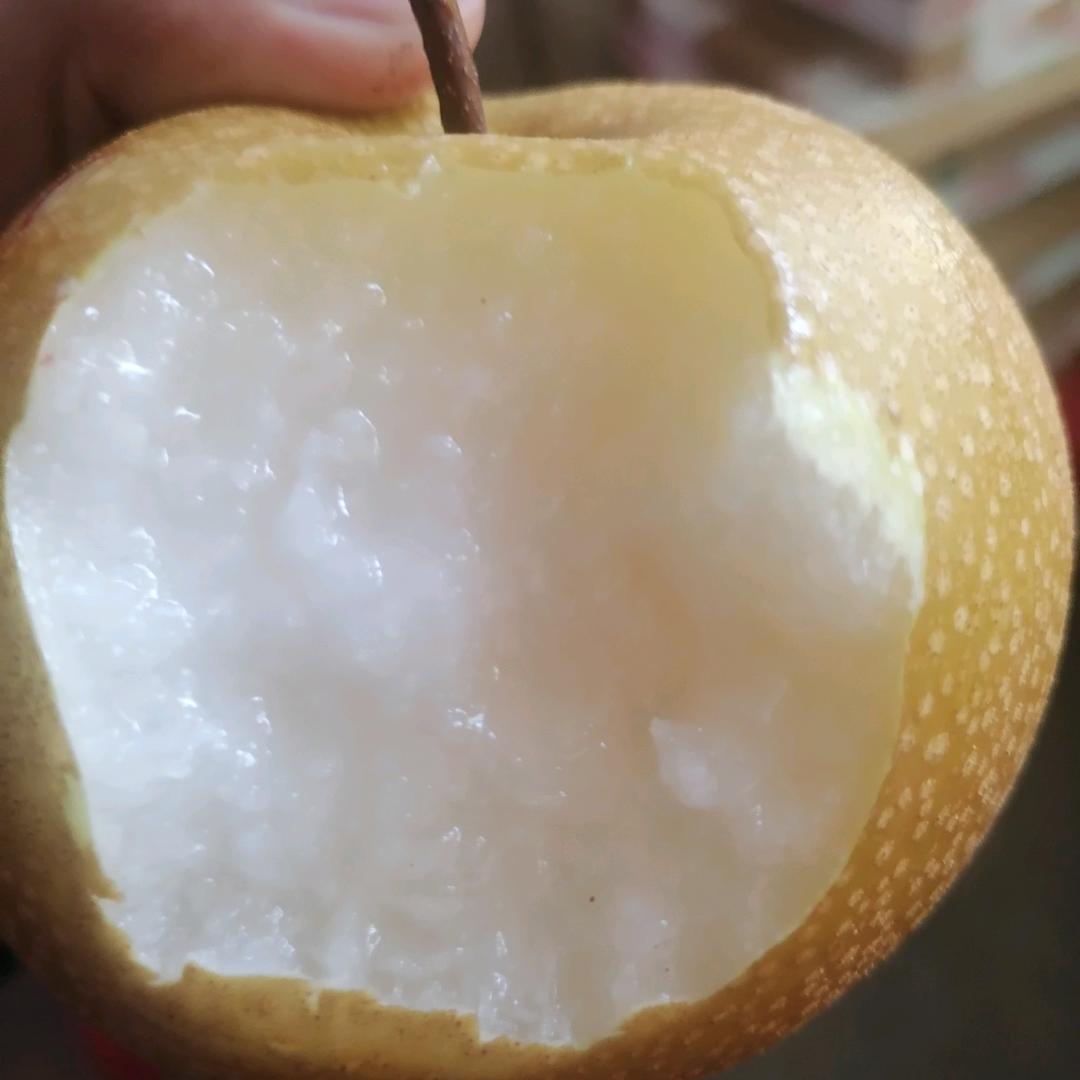 吃梨找我不后悔