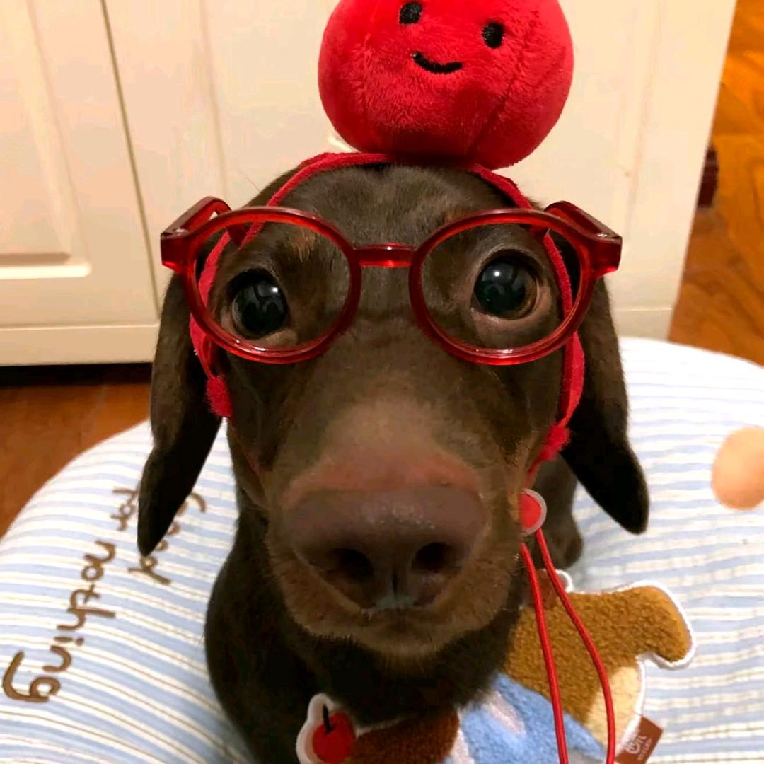 - ̗̀ 𝙤𝙥𝙚𝙣 ̖́-