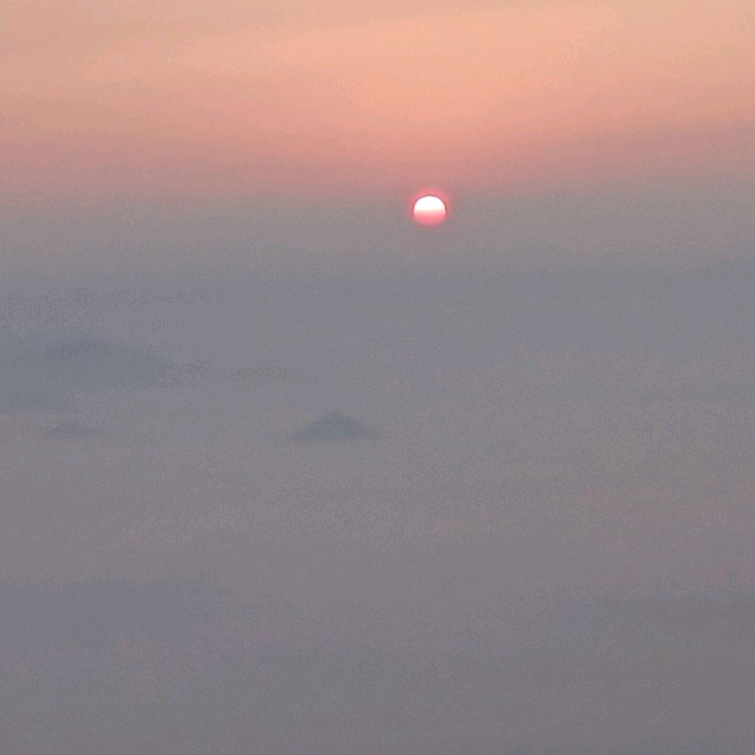 @卷柏@