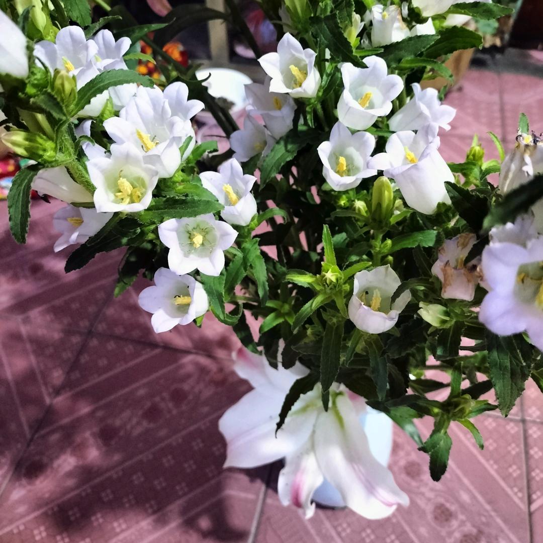 余生你陪2189435710421