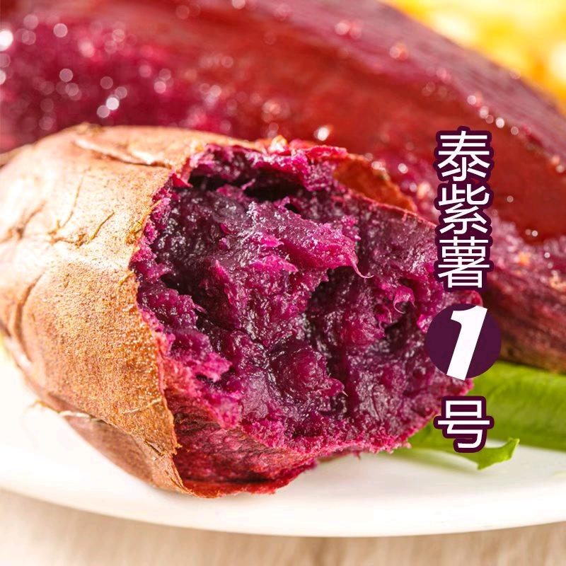 泰紫薯1号圖圖