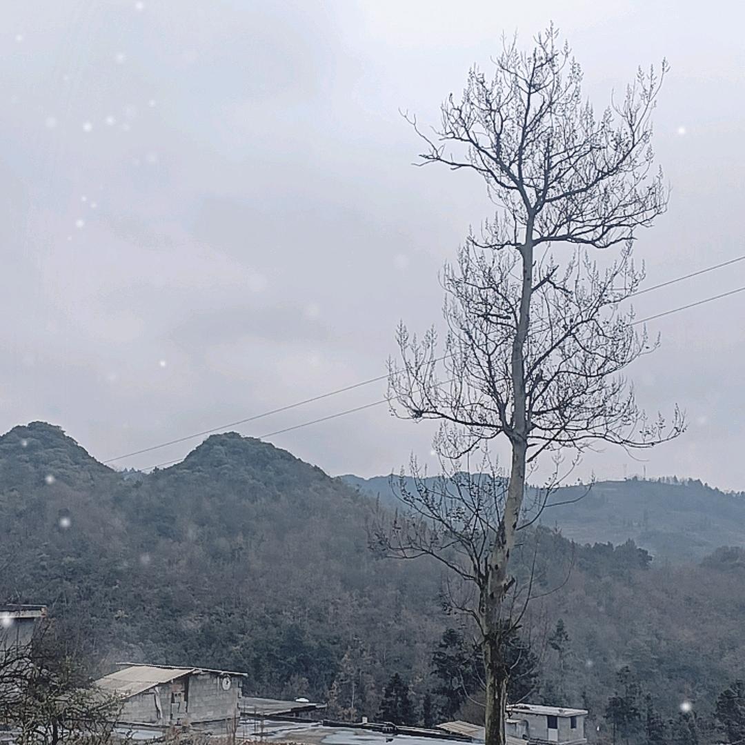 3号老者