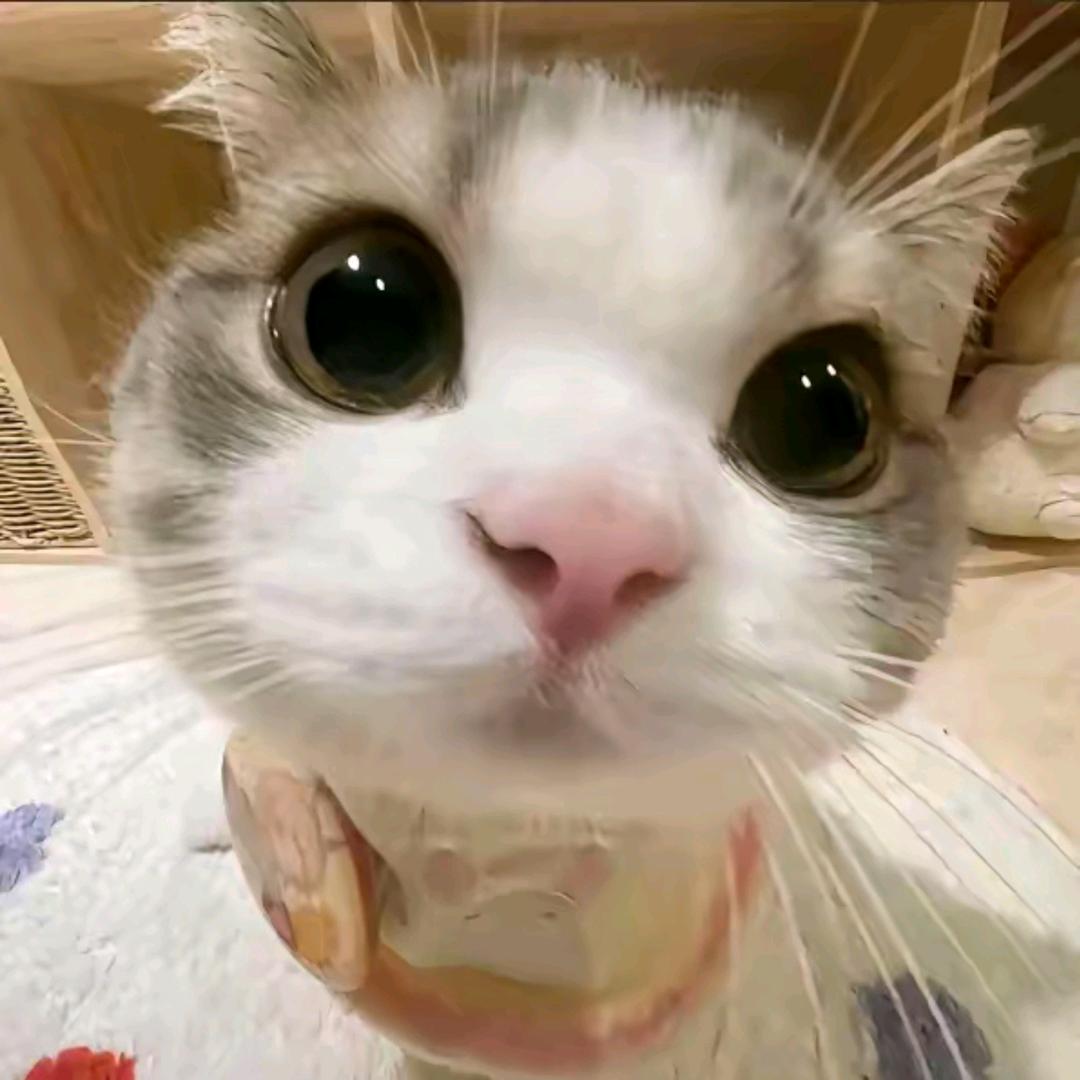 酥鱼