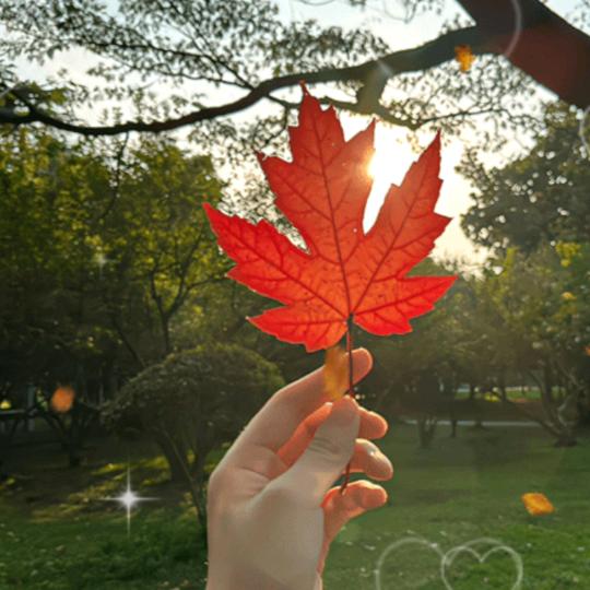 ╭(╯余生~~随心♥