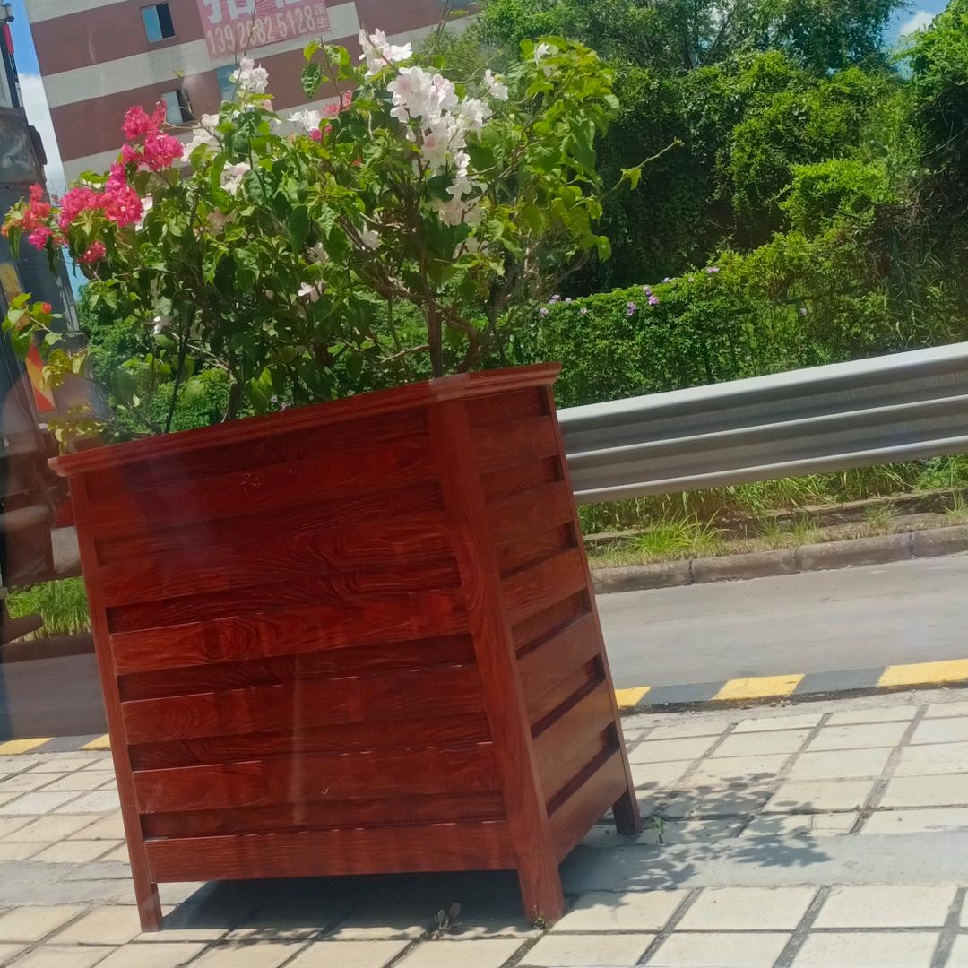 吃饱就睡