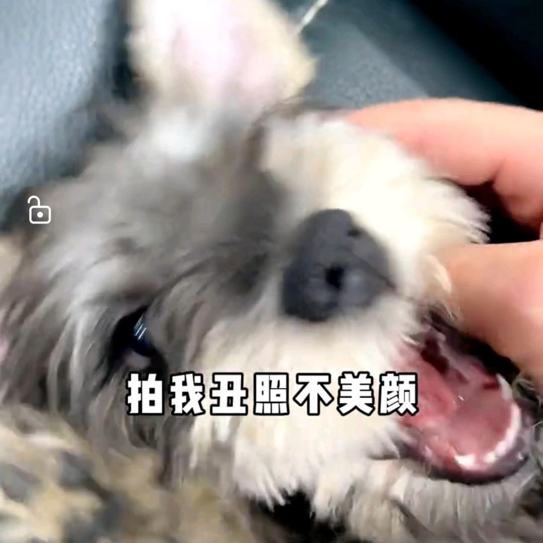 别哼哼