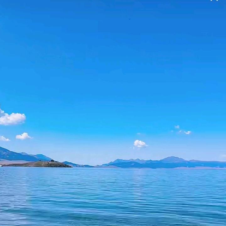 优优