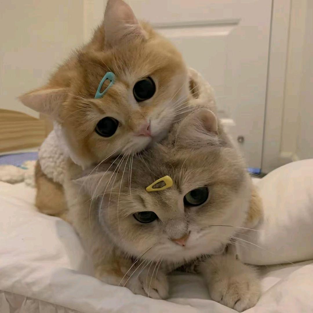 幽辰