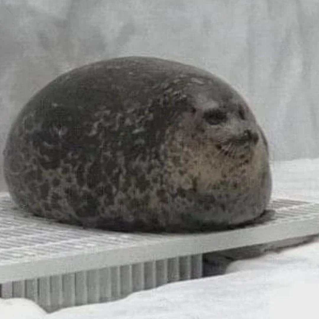 青玉案·街