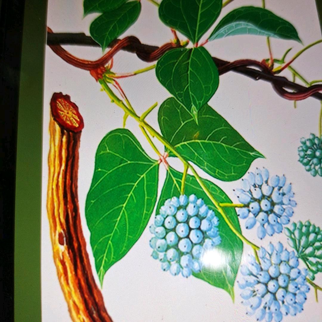 清风幽月