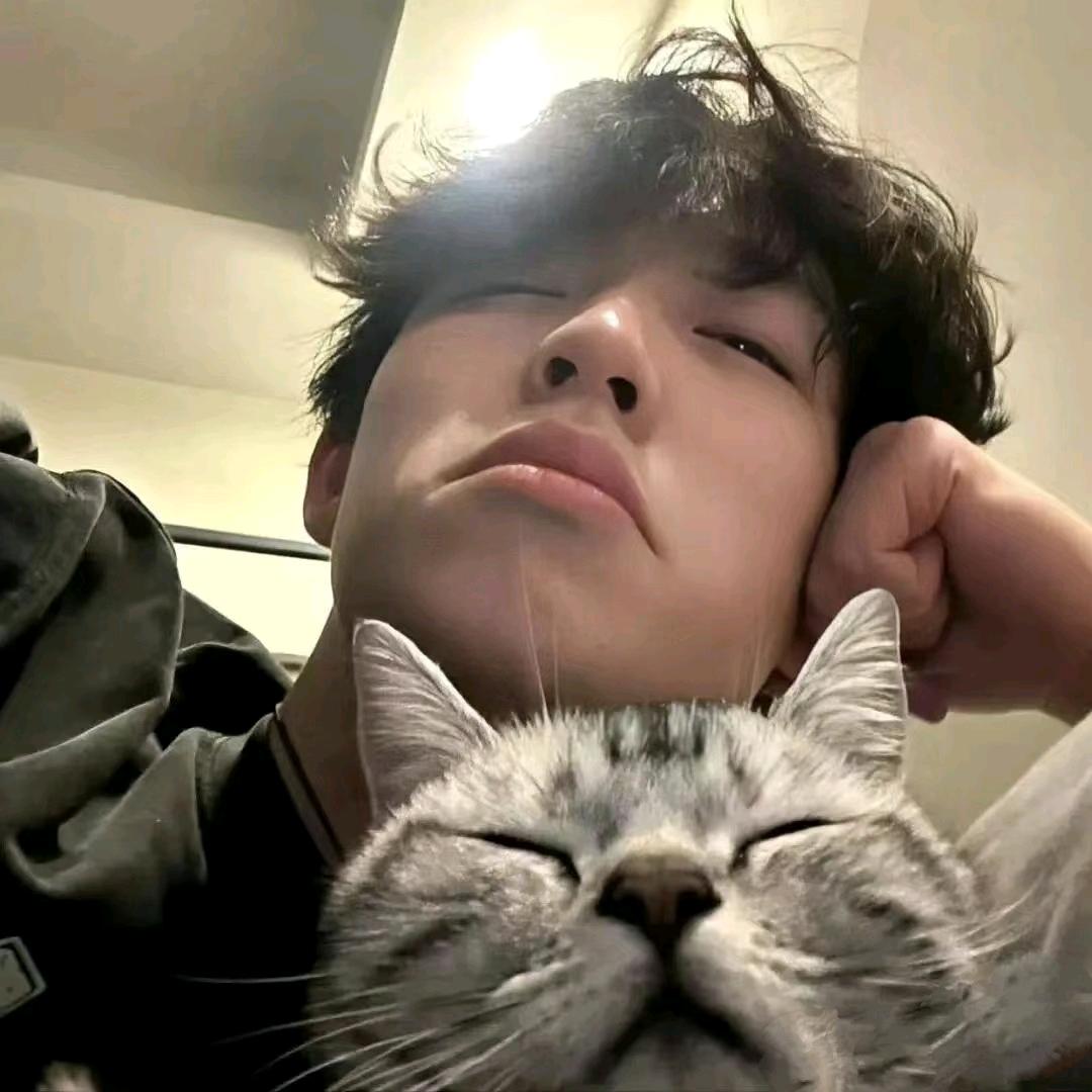 没头脑（无畏契约）