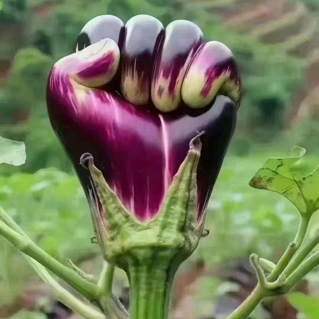 宇宙骑士