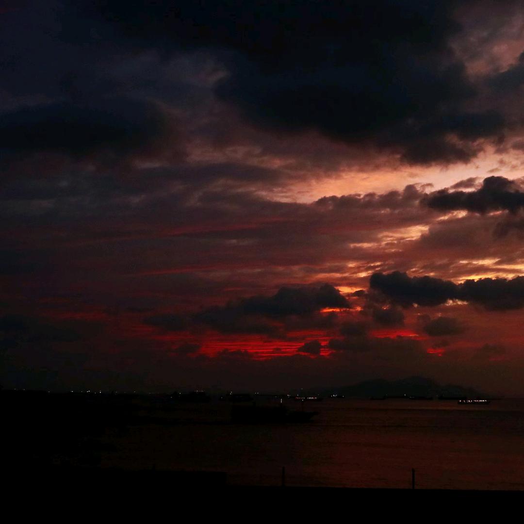 不长肌肉的小垃圾