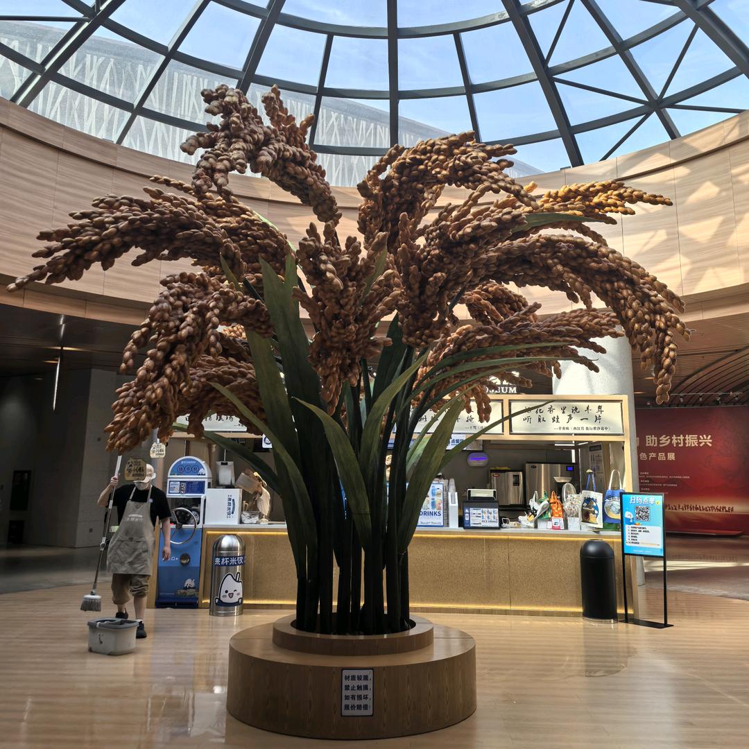 🌱 新农人·耕新派