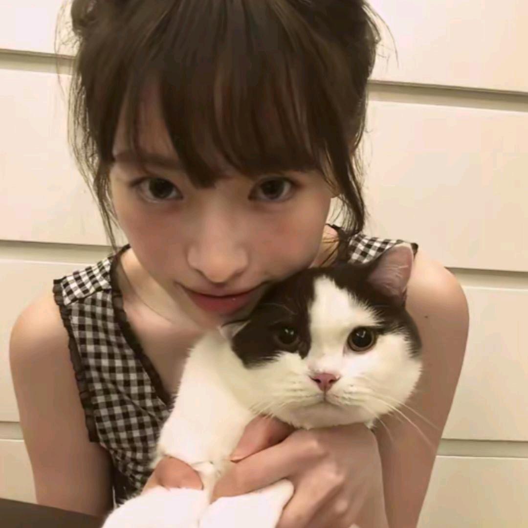 我要包宵