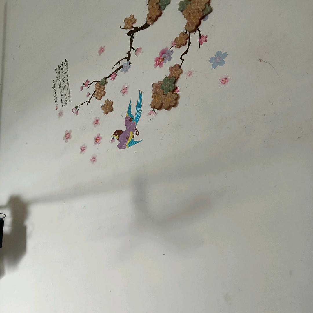 春暧花开