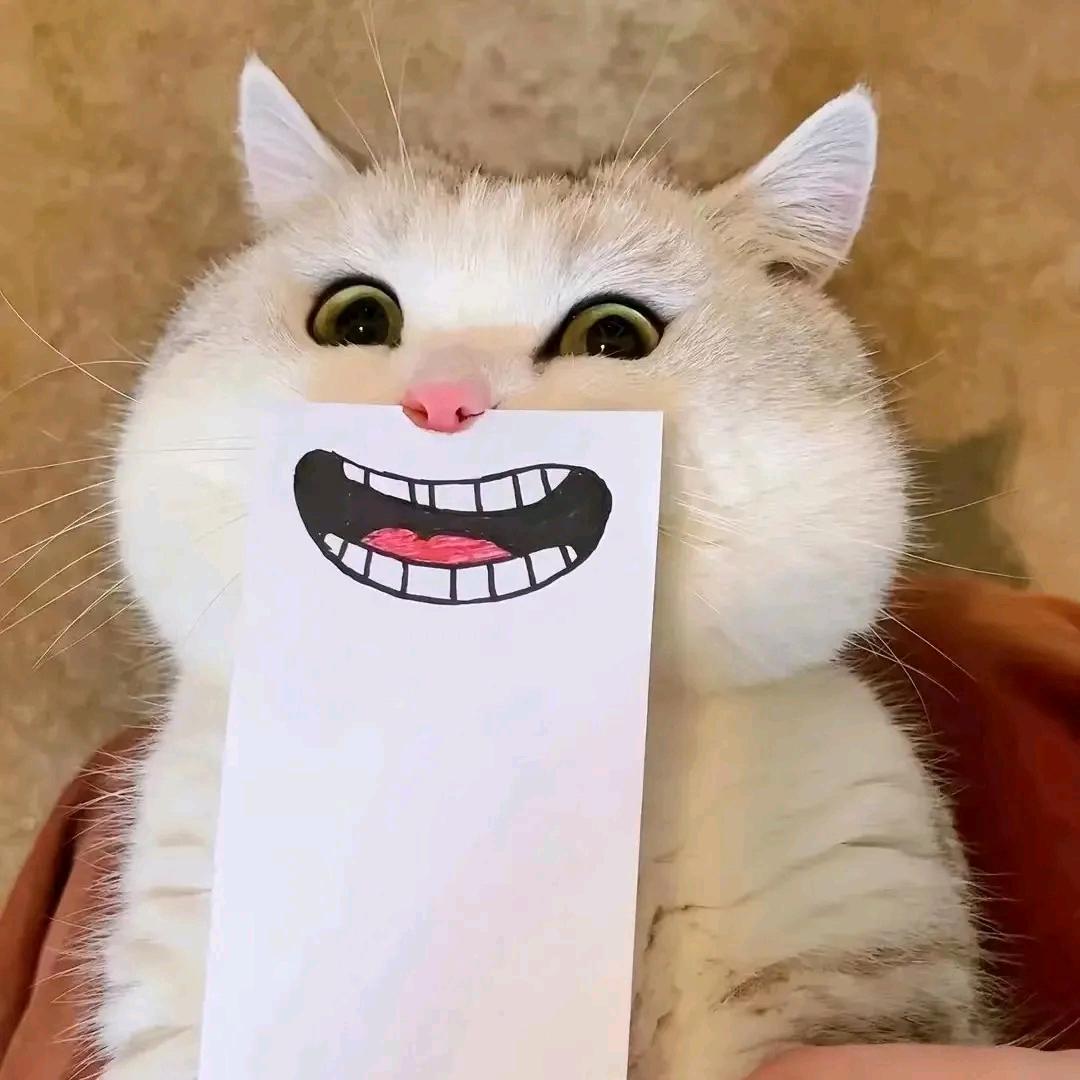 灰色轨迹🖖