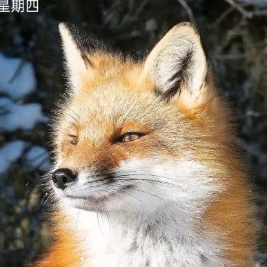 倩儿👸