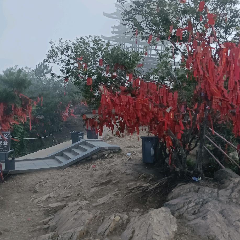 开心每一天_51190