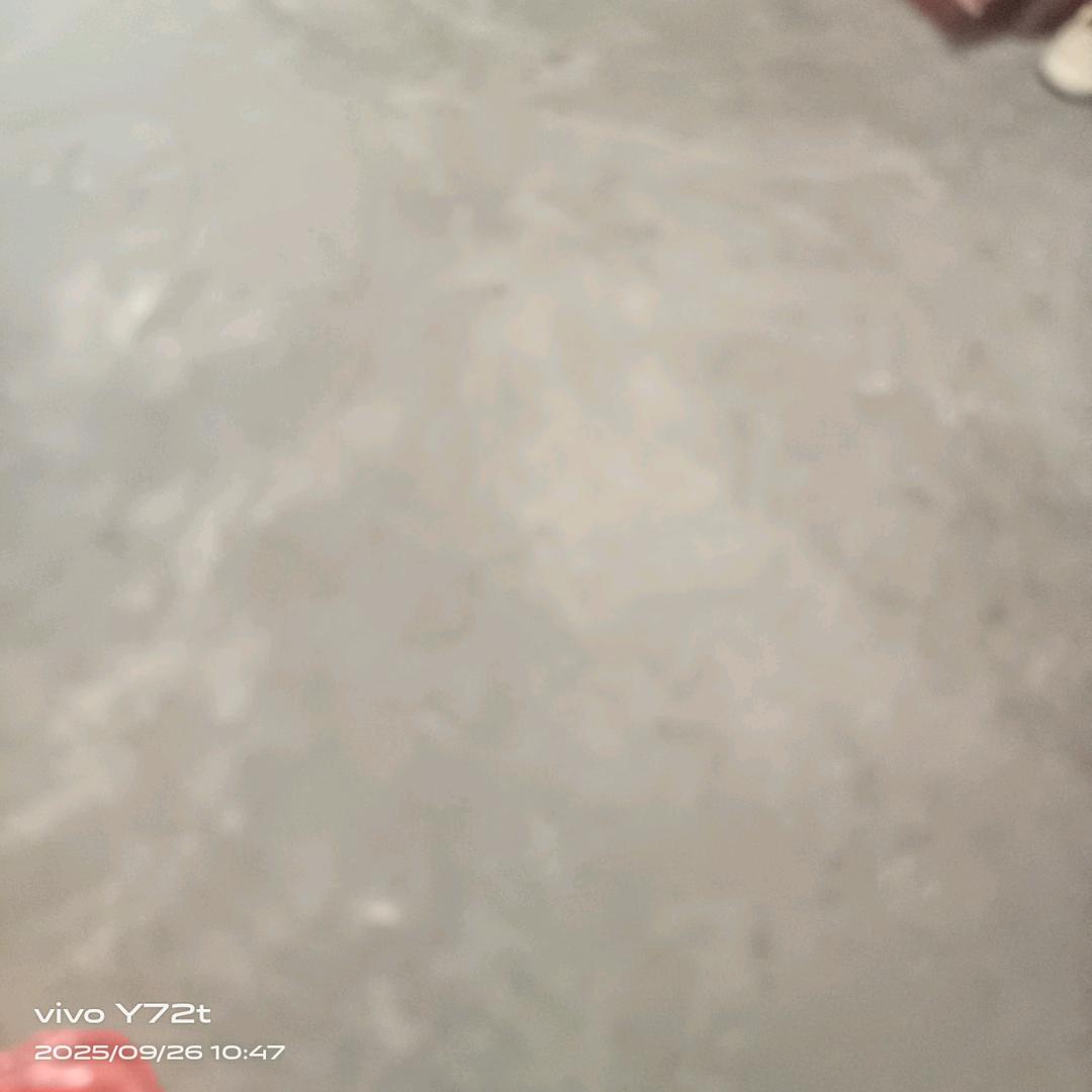 冬天的太阳