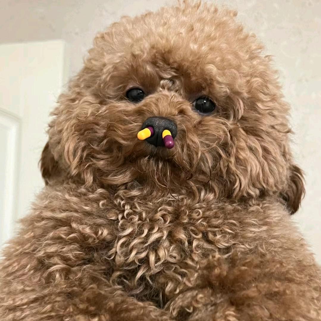 胡阡陌