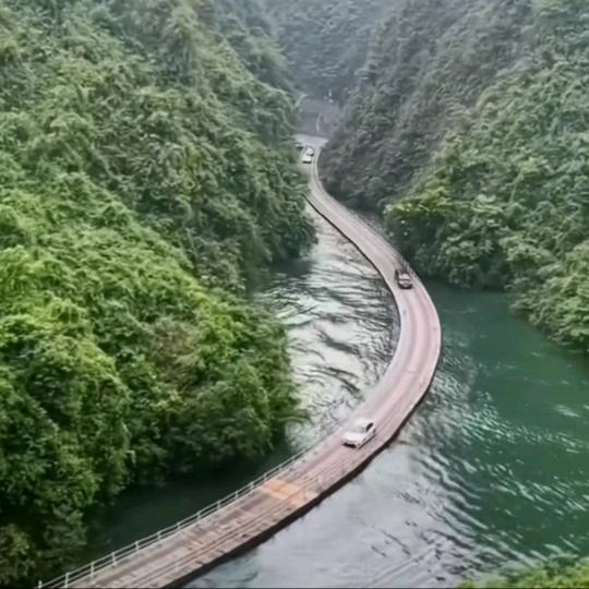 🚗行同陌路🚗