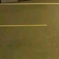 TV特别兄弟情