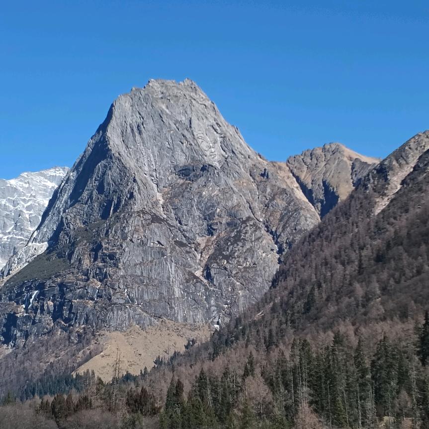 不忘初心👨‍👩‍👧‍👧