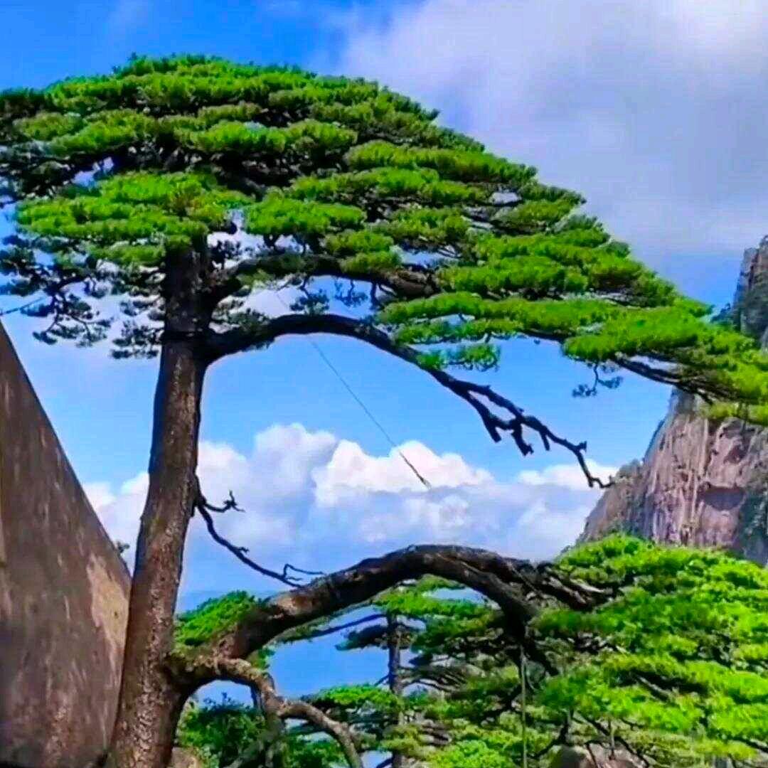 静逸轩