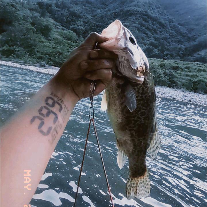邹掌鳜🎣