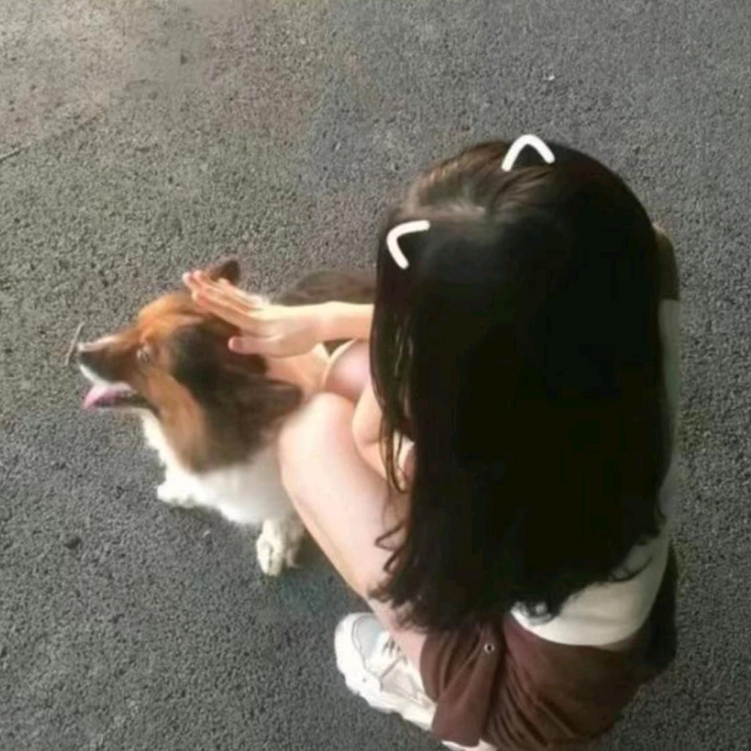 肛龙虾