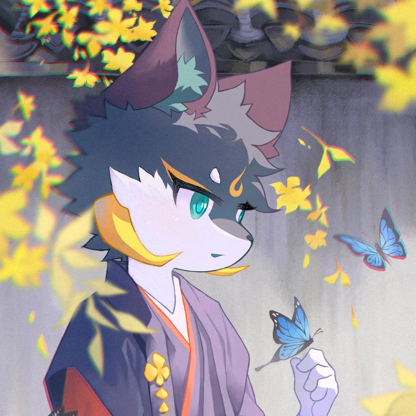 莱诺Leno