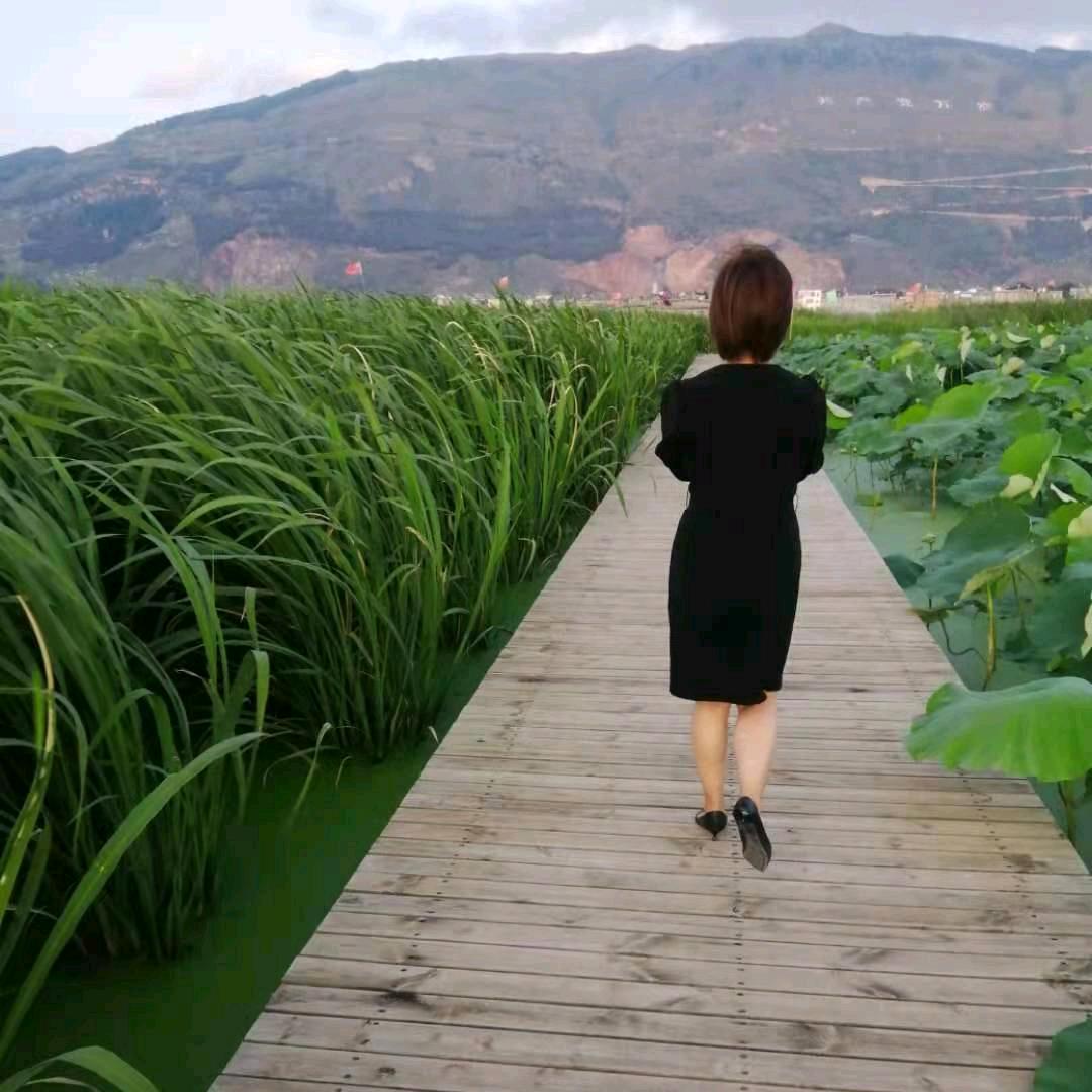 你若相惜，我必相依