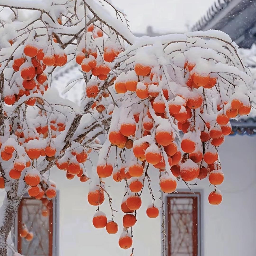 星辰大海，如你美好