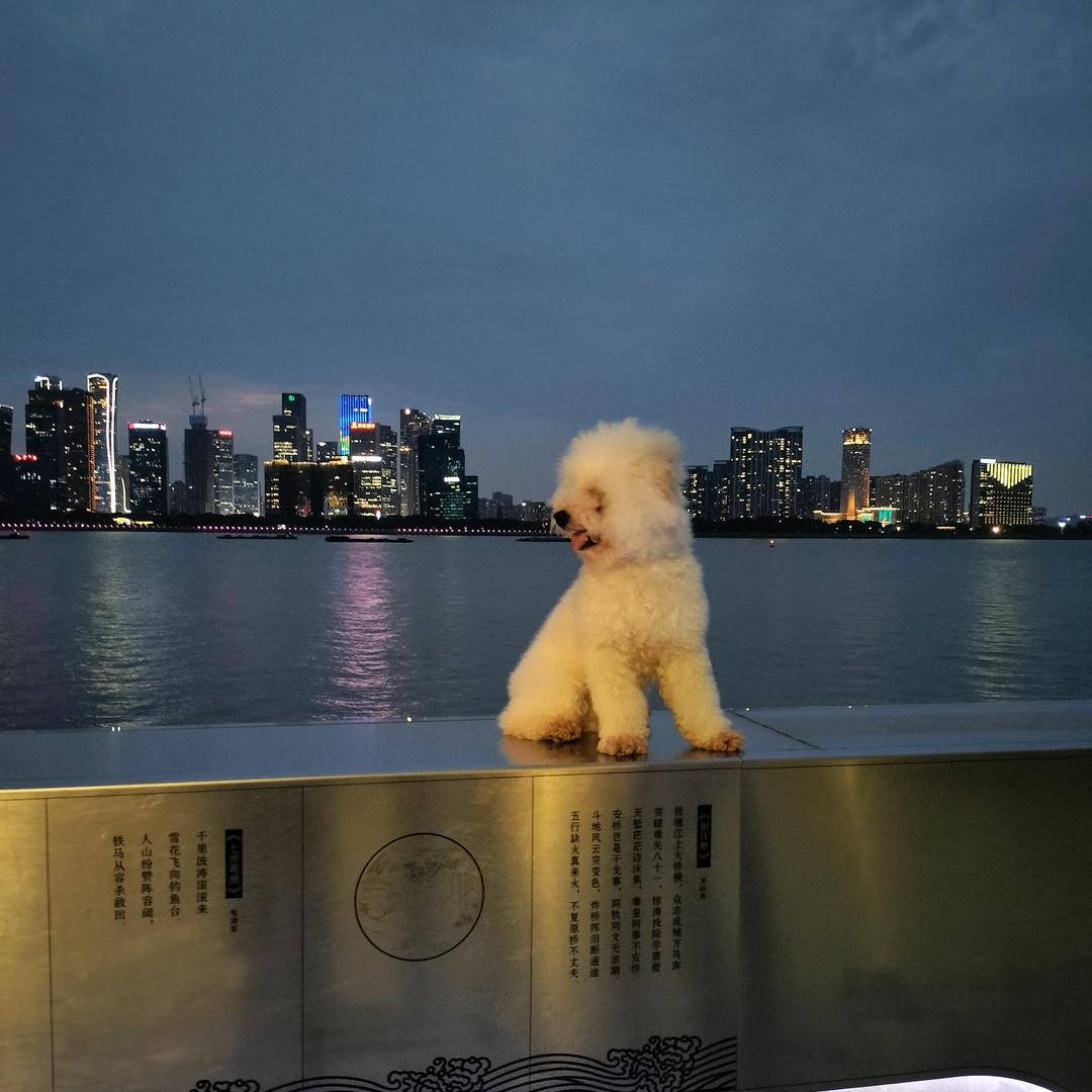 小魔仙