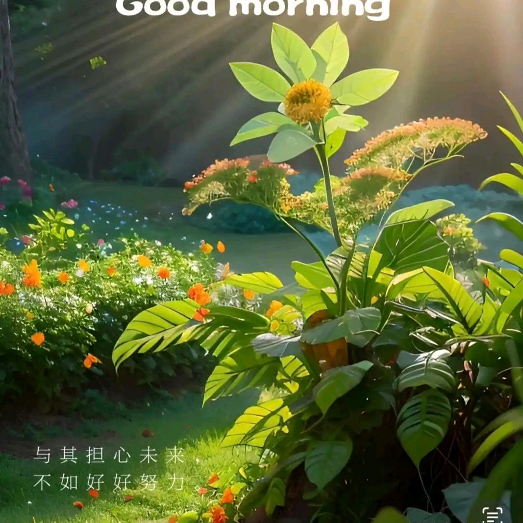 贝优托管768