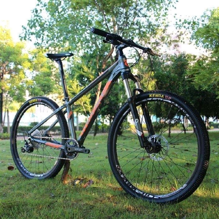 🌈 木头🚲