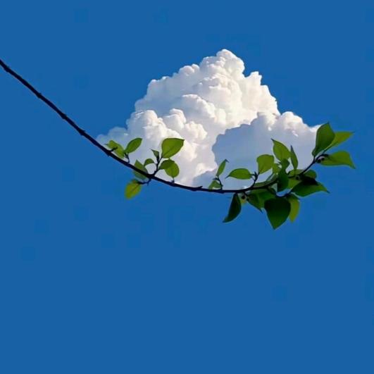 下 ①页╮回忆″