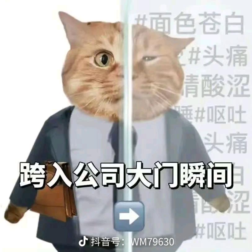 木易啊