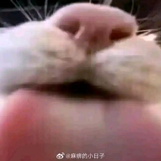 河呵何