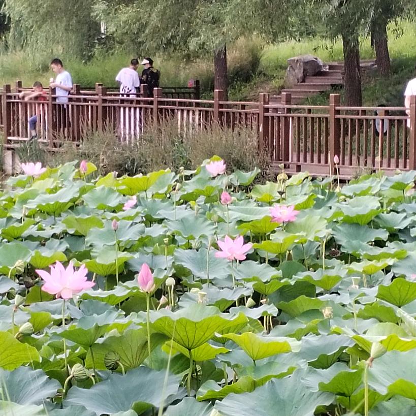 幸福之家love
