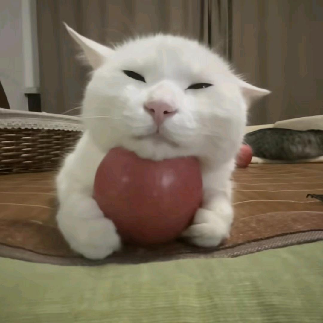 方哩个块