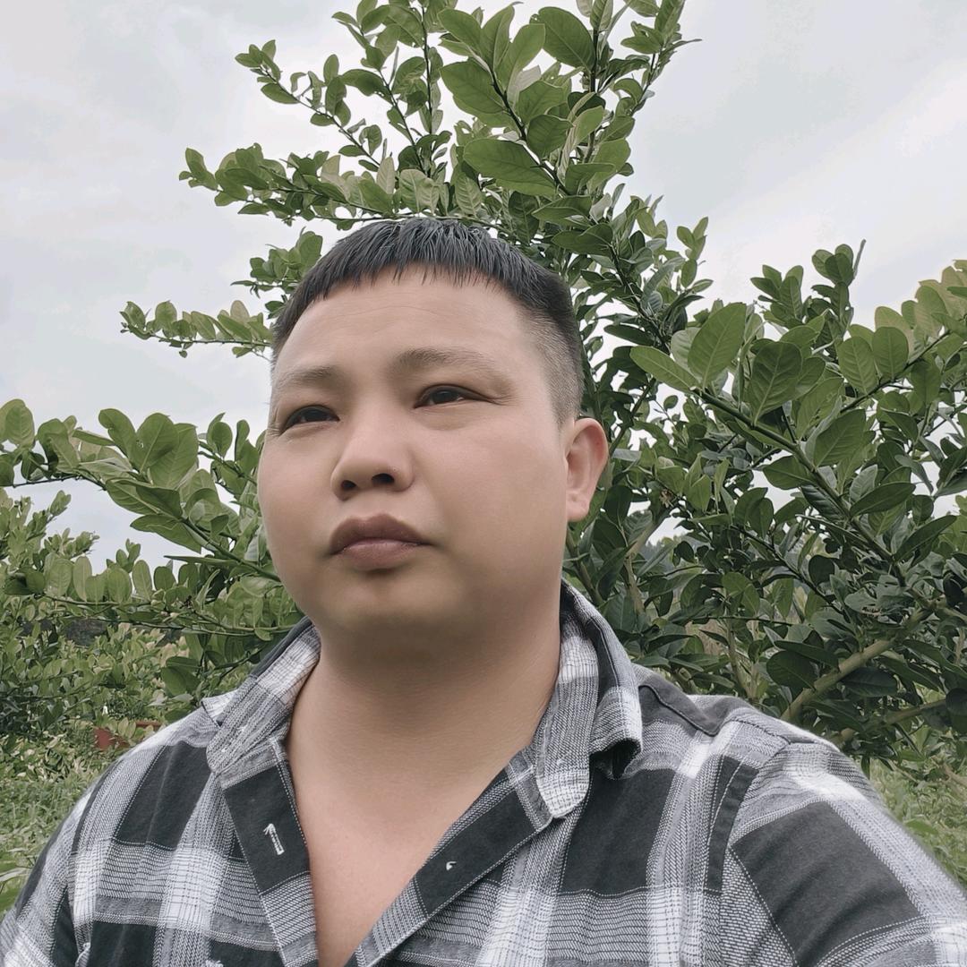 +细六+/一步到位