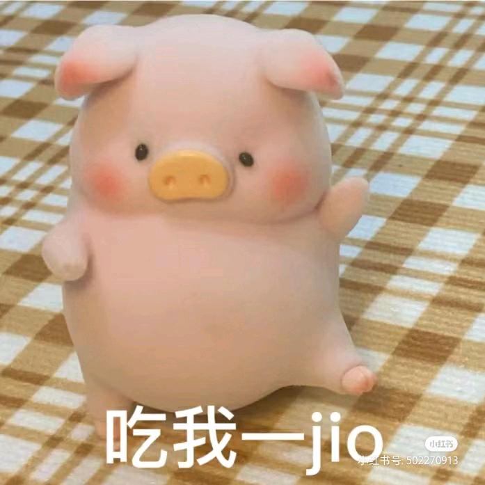 萝卜爱吃猪