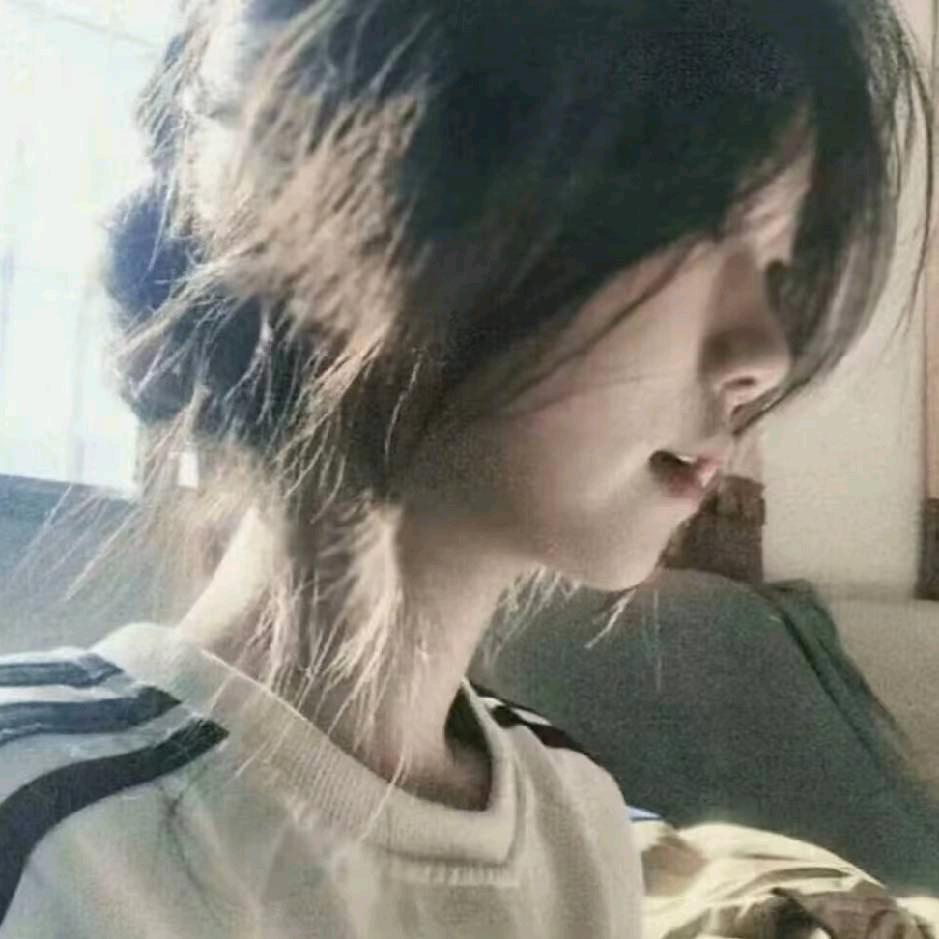 仙辞不爱表达