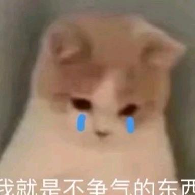 礼拜一.