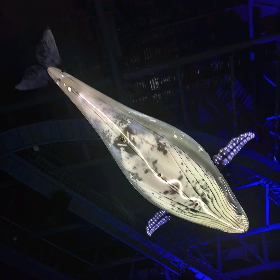 95后AI老师和我的银发学生