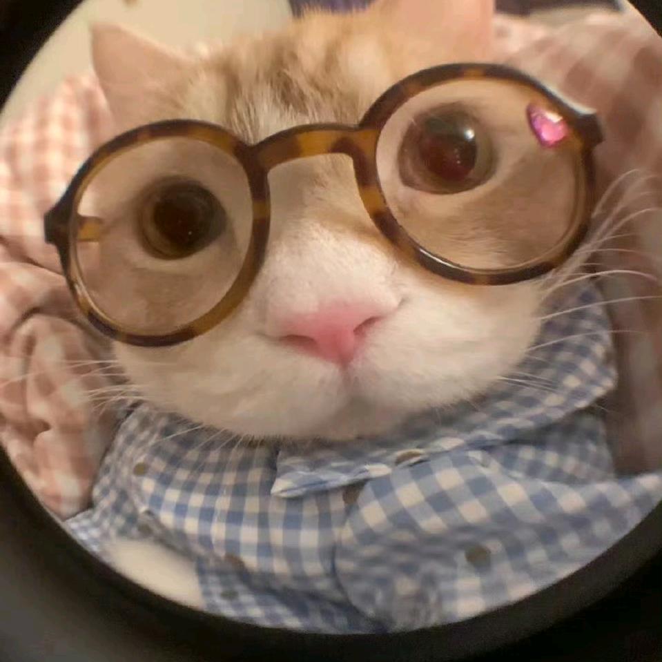 俞余鱼🐟