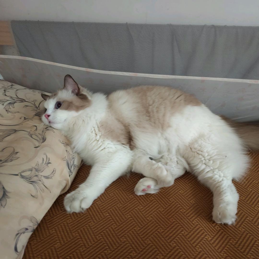 多好