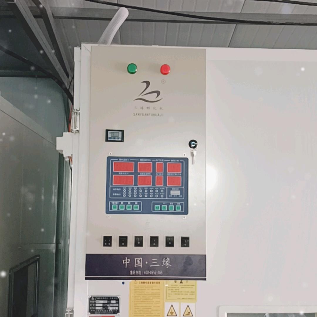 胡集镇皖浦鹅苗孵化